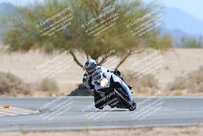 media/May-12-2024-SoCal Trackdays (Sun) [[ad755dc1f9]]/10-Turn 4 Tree of Life (1120am)/